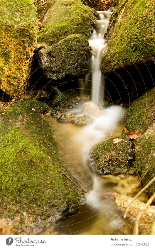 a small waterfall Environment Nature Earth Sand Water Spring Weather Beautiful weather Plant Moss Brook Stone Green White Flow Waterfall Pure Colour photo