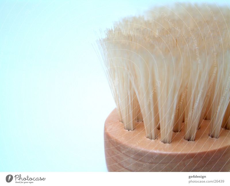 brush Bathroom Cleaning Soap Abstract Hollow Bathtub Foam Shower gel Soap suds Massage brush Burl Gloves Orange peel Against Wood Living or residing loofah