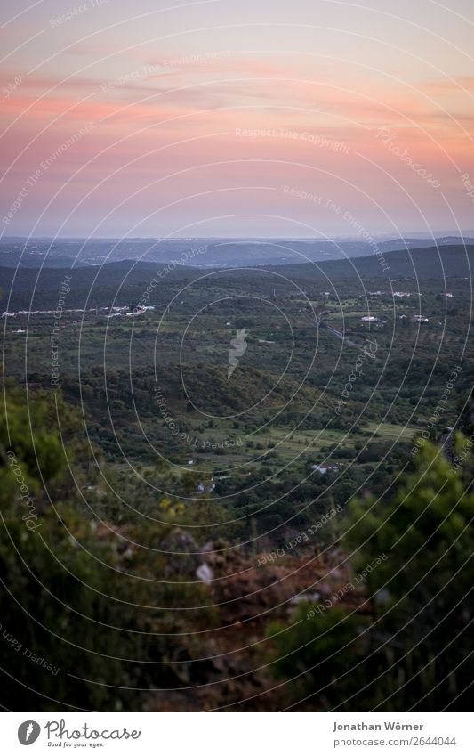 Far away Vacation & Travel Tourism Trip Adventure Far-off places Freedom Mountain Hiking Nature Landscape Plant Sky Sunrise Sunset Tree Bushes Meadow Field Hill