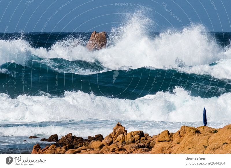 Cliffs, surf, parasol Vacation & Travel Adventure Summer Summer vacation Sun Beach Ocean Waves Sand Air Water Sky Cloudless sky Horizon Beautiful weather Wind