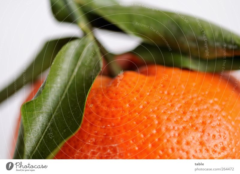 no lemon . . . Food Fruit Orange Tangerine Nutrition Organic produce Vegetarian diet Exotic Healthy Eating Natural Green Esthetic Uniqueness Leaf Colour photo