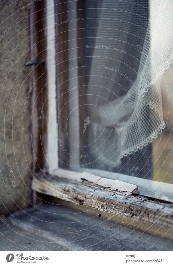 fetish House (Residential Structure) Wall (barrier) Wall (building) Window Curtain Window pane Windowsill Window frame Window board Old Colour photo