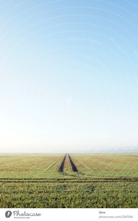 straight ahead Landscape Earth Sky Cloudless sky Spring Beautiful weather Field Infinity Blue Green Environment Lanes & trails Far-off places Tracks