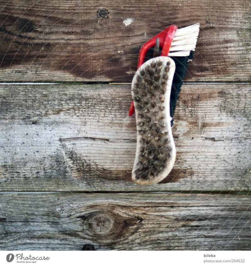 scrubbing Brush Bristles Chopping board Cleaning Brown Red White Pure Colour photo Exterior shot Copy Space left Copy Space bottom Shallow depth of field