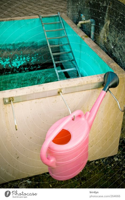 Colourful tap Gardening Illuminate Wait Authentic Uniqueness Kitsch Pink Moody Watering can Watering Hole Tap Ladder Turquoise Checkmark Basin Swimming pool