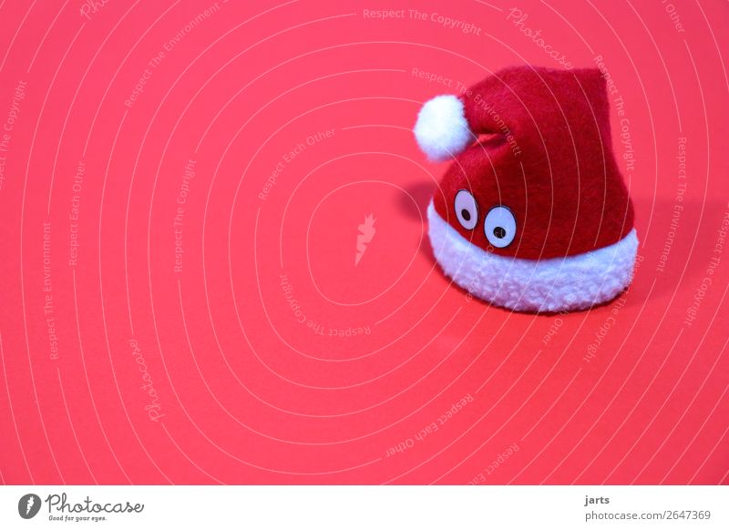 mützi Cap Looking Cute Red Santa Claus hat Eyes Christmas & Advent Christmas decoration Meditative Wait Colour photo Studio shot Deserted Copy Space left