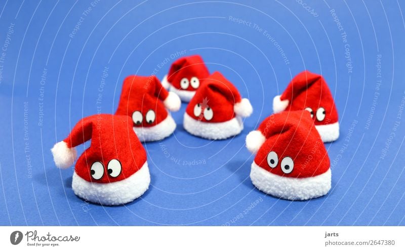 christmas team blue V Cap Exceptional Cute Blue Red White Santa Claus hat Meditative Eyes Christmas decoration Colour photo Studio shot Close-up Deserted