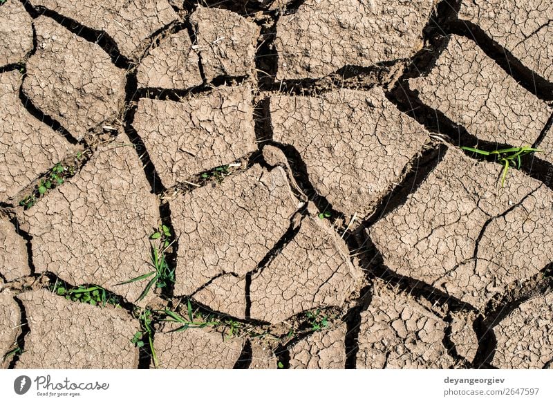 Cracked soil Summer Environment Nature Earth Climate Drought Poverty Hot Natural Death Disaster Crack & Rip & Tear dry land desert Ground background water Mud