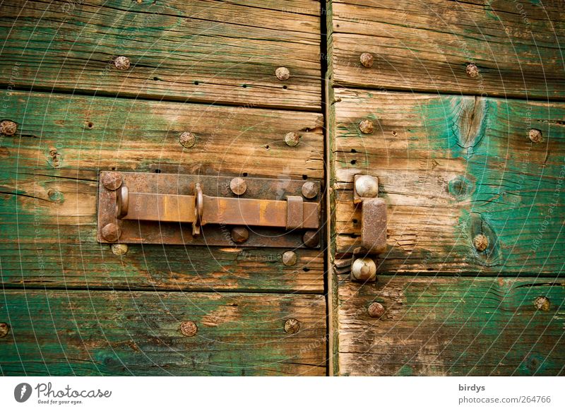 open doors Door Wood Metal Old Brown Green Lock Locking bar Barn shed door Rust Abrasion Open stable door Wooden door Colour photo Exterior shot Deserted