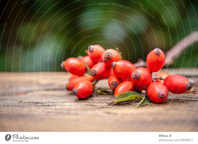 Rosehip Fruits Food Rose hip Nutrition Organic produce Alternative medicine Healthy Eating Nature Plant Agricultural crop Garden Authentic Fresh Natural Brown