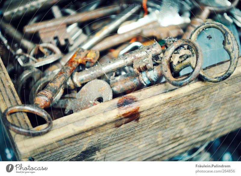 Lost keys. Palace Door Box Kitsch Odds and ends Collection Wood Metal Lock Key Old Glittering Historic Might Safety Protection Orderliness Purity Avaricious