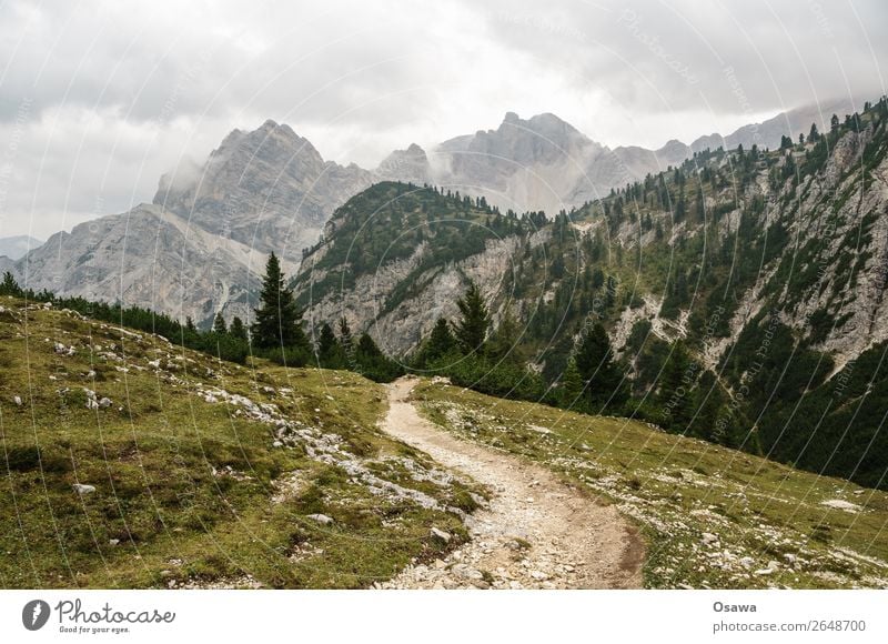 to the Pragser Hochalm Italy South Tyrol Alps Mountain Rock Stone Peak Landscape Dolomites Hiking Mountaineering Climbing Nature Untouched Alpine pasture Meadow