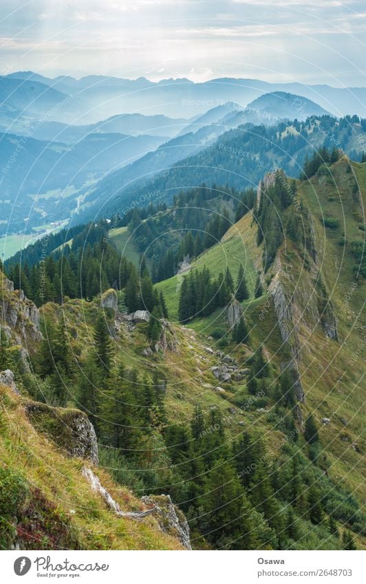 Nailfluh chain Germany Allgäu Alps Mountain Rock Building Peak Landscape Nagelfluhkette Hiking Mountaineering Climbing Nature Alpine pasture High Alps Sky