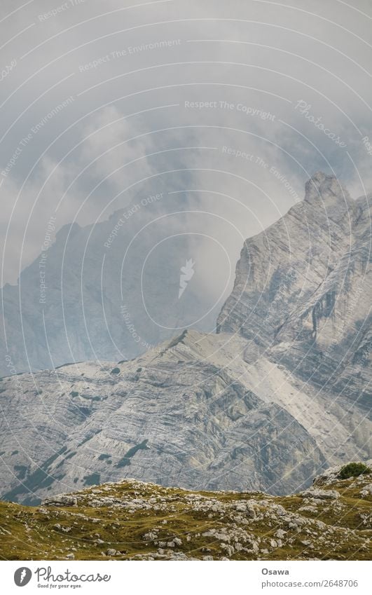 Prags high alp Italy South Tyrol Alps Mountain Rock Stone Peak Landscape Dolomites Hiking Mountaineering Climbing Nature Untouched Alpine pasture Meadow Tall