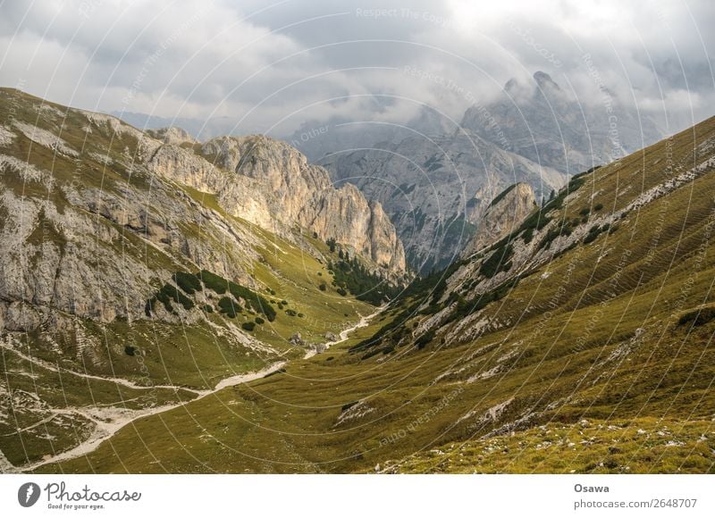 Prags high alp Italy South Tyrol Alps Mountain Rock Stone Peak Landscape Dolomites Hiking Mountaineering Climbing Nature Untouched Alpine pasture Meadow Tall