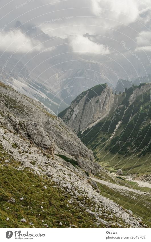 Prags high alp Italy South Tyrol Alps Mountain Rock Stone Peak Landscape Dolomites Hiking Mountaineering Climbing Nature Untouched Alpine pasture Meadow Tall