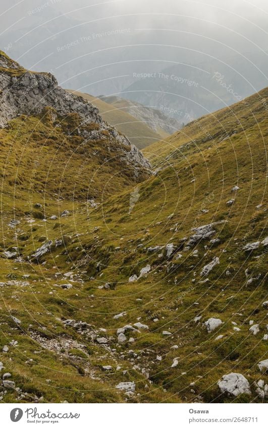 Prags high alp Italy South Tyrol Alps Mountain Rock Stone Peak Landscape Dolomites Hiking Mountaineering Climbing Nature Untouched Alpine pasture Meadow Tall