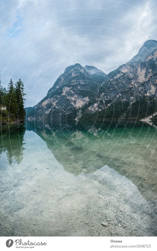 Braies Wild Lake - Lago di Braies Environment Nature Landscape Tree Water Sky Heaven Clouds Alps Mountain South Tyrol Pragser Wildsee Lake Prags Wildsee Hiking