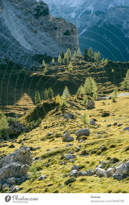 South Tyrol Italy Alps Mountain Rock Stone Peak Landscape Dolomites Hiking Mountaineering Climbing Nature Untouched Alpine pasture Meadow Tall High Alps Sky