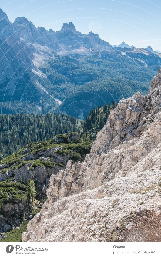 South Tyrol Italy Alps Mountain Rock Stone Peak Landscape Dolomites Hiking Mountaineering Climbing Nature Untouched Alpine pasture Meadow High Alps Sky Summer