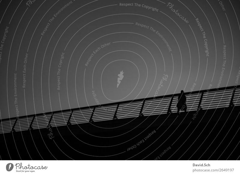 Pedestrian on a bridge Trip Human being Feminine Woman Adults Body 1 Dresden Bridge Manmade structures Architecture Handrail Footpath Metal Movement Walking