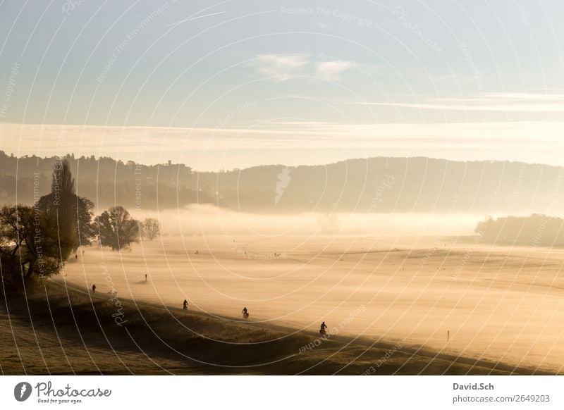 Cyclist on the Elbe cycle path near Dresden in the morning Cycling Human being 4 Nature Landscape Sunrise Sunset Autumn Climate Fog Meadow Transport