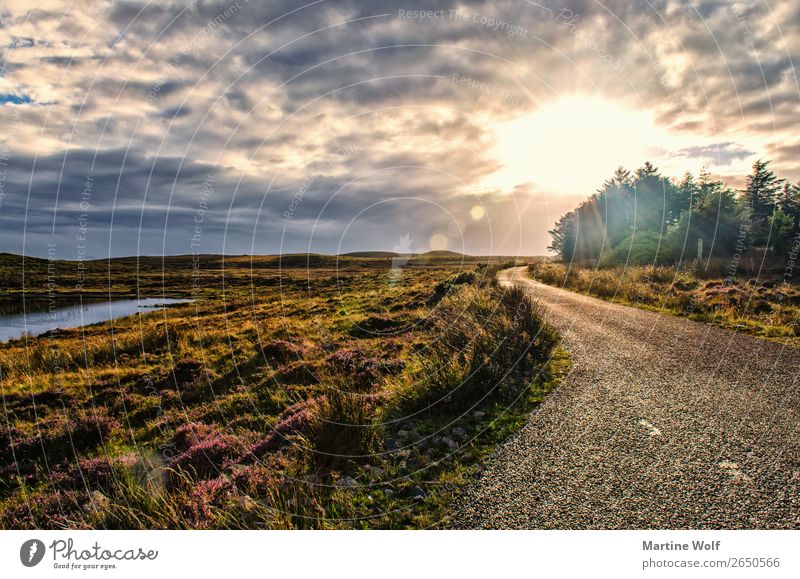 the road Environment Nature Landscape Sky Clouds Grass Scotland Great Britain Europe Street Vacation & Travel Calm Infinity Light Colour photo Subdued colour