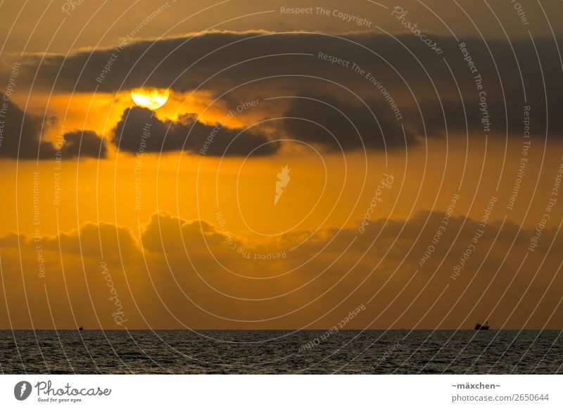 The last rays of the sun Nature Landscape Sky Clouds Sunrise Sunset Sunlight Beautiful weather Waves Ocean Navigation Fishing boat Yellow Gold Orange Romance