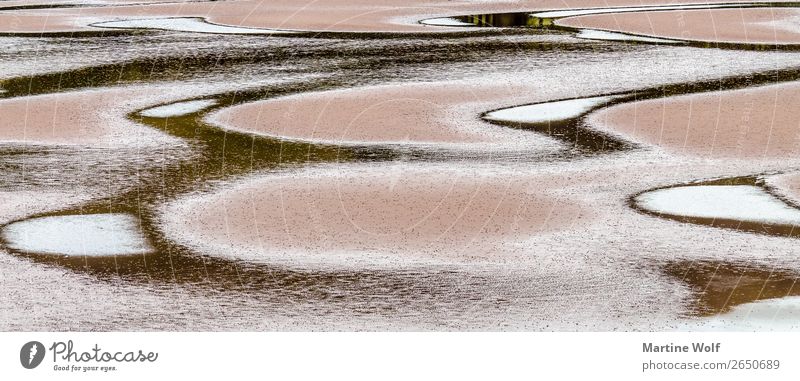 tide painting Environment Nature Elements Sand Water Coast Ocean Atlantic Ocean Brown Art Europe Gorß Great Britain Scotland Painting and drawing (object)