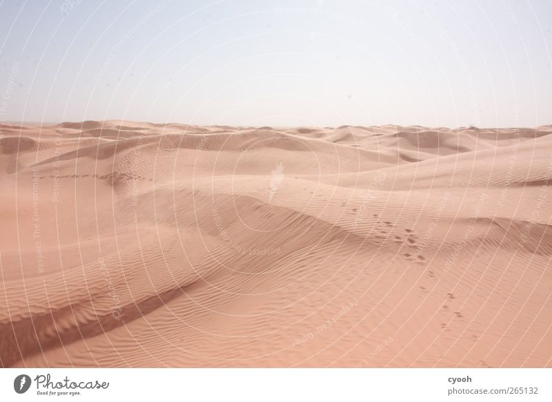 Follow the tracks... Nature Landscape Sand Sky Summer Climate Climate change Beautiful weather Warmth Drought Desert Walking Hiking Far-off places Bright Blue