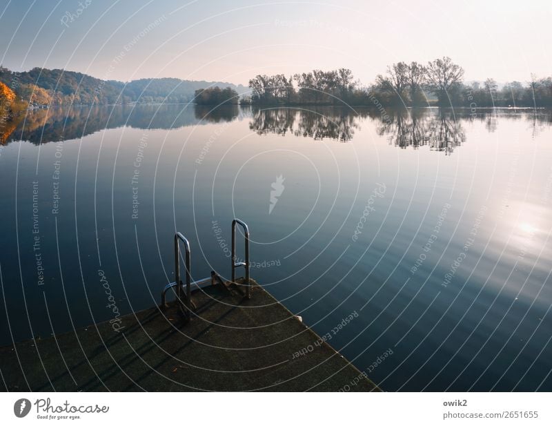 Danube near Kelheim Environment Nature Landscape Plant Water Cloudless sky Horizon Sun Autumn Beautiful weather Tree Bushes Forest River bank Bavaria Footbridge