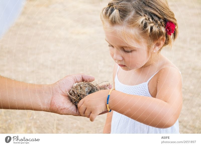 Little girl discovering nature Life Summer Child School Toddler Parents Adults Father Hand Nature Blonde Bird Love Small Curiosity Cute Nest Daughter parenthood