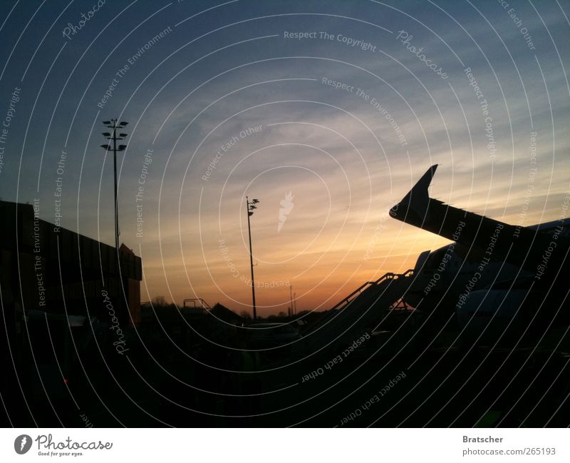 Goodbye TXL Airport Airplane Airplane landing Airplane takeoff Wanderlust Sunset Berlin Airport Berlin-Tegel Come Home country Landing Check in Wing Picturesque