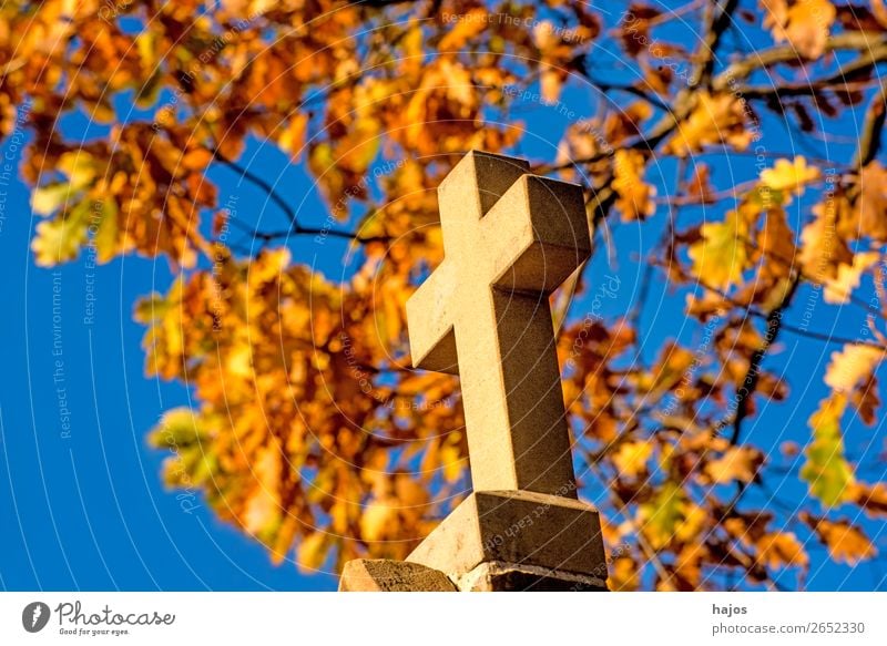 Cross with autumnal leaves in the background Sign Crucifix Yellow Religion and faith christian Catholic symbol pilgrim path pilgrim road Way of the Cross Autumn