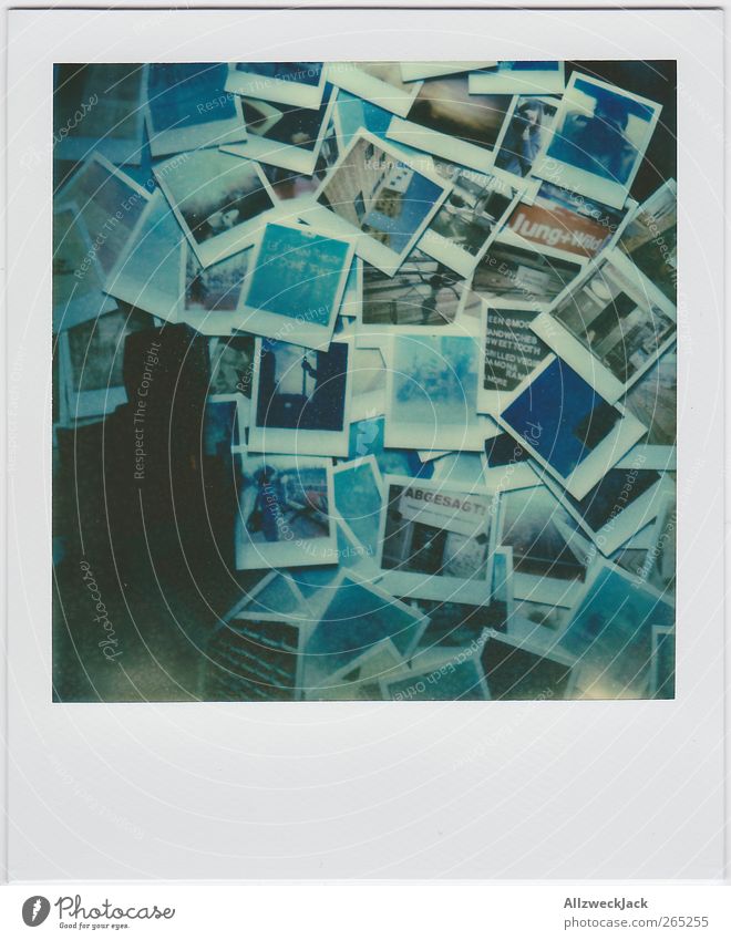 Period on bleu Camera Retro Blue Chaos Polaroid camera Untidy Many instant camera Colour photo Interior shot Deserted Shadow Low-key Bird's-eye view