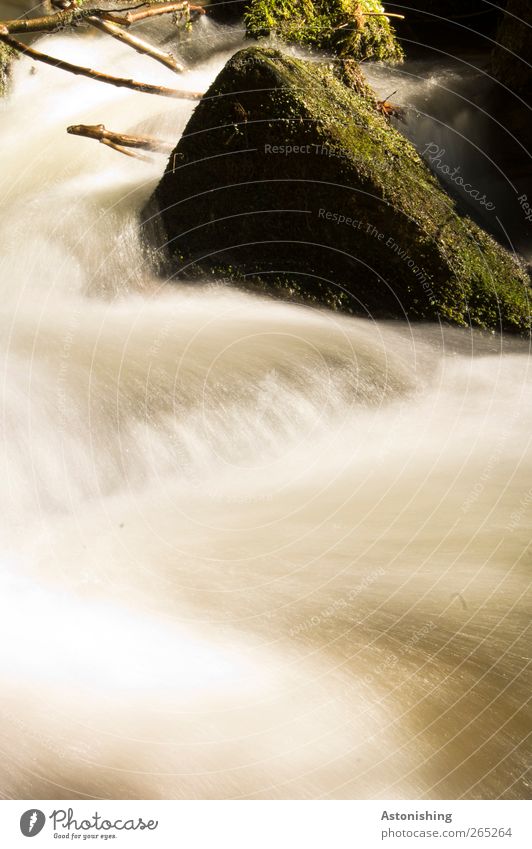 white water Environment Nature Landscape Plant Water Spring Moss Rock Waves River bank Brook Waterfall Stone Wood Green White Speed Dynamics Political movements