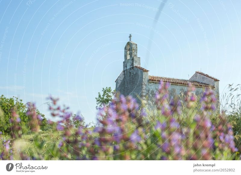 I pray myself to the chapel bed Chapel Brsec Religion and faith Shallow depth of field Copy Space top Church Village Sky Mediterranean sea Flower meadow Croatia