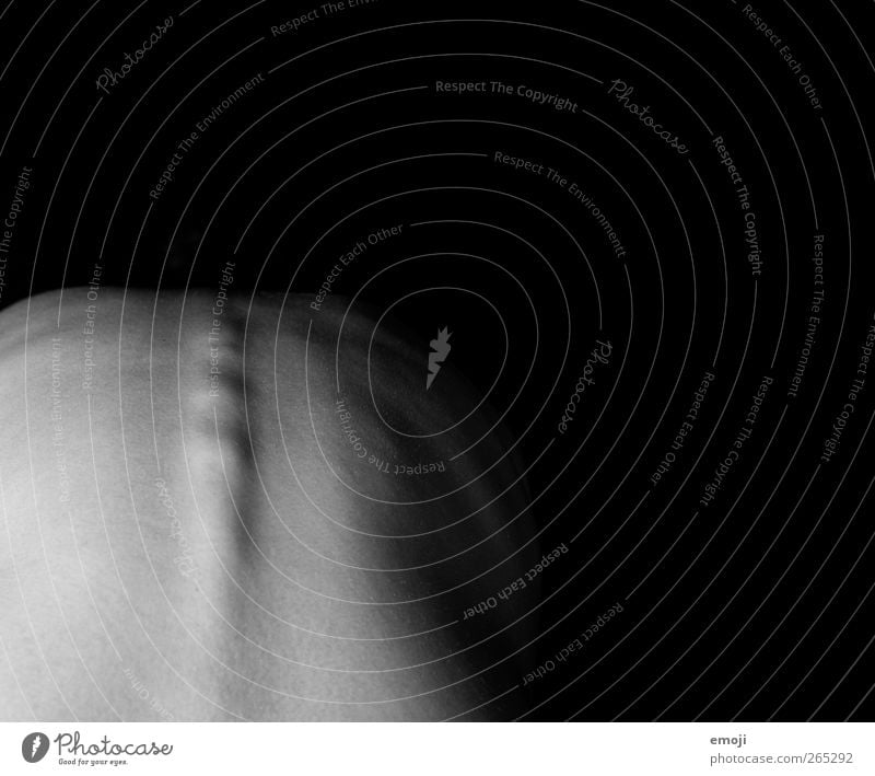 Love is naked Feminine Androgynous Young woman Youth (Young adults) Back 1 Human being 18 - 30 years Adults Dark Thin Gray Black Anorexia Spinal column Anatomy