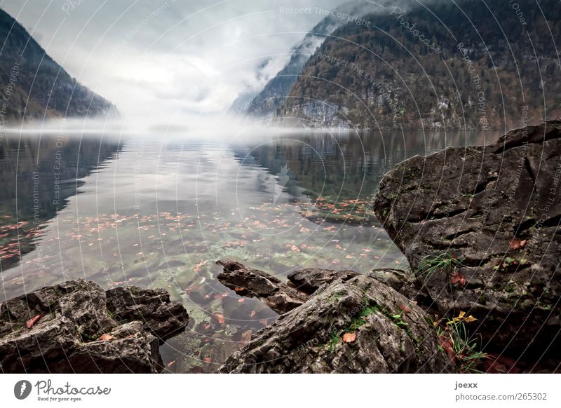 The horror Nature Landscape Clouds Storm clouds Weather Fog Mountain Lakeside Threat Dark Creepy Cold Brown Green Black White Fear Lake Königssee Colour photo