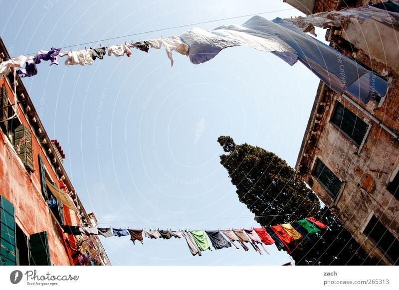 washing day City trip Island Living or residing House (Residential Structure) Cloudless sky Beautiful weather Tree Venice Italy Village Small Town Old town