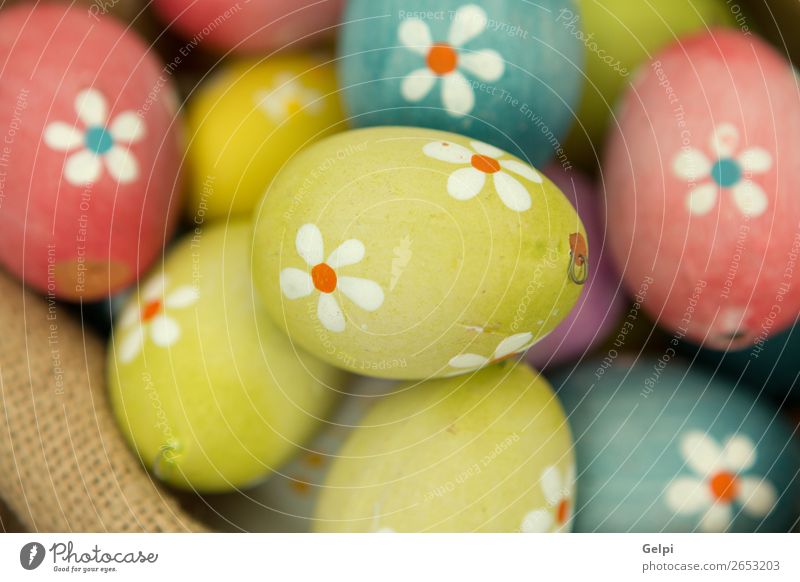 Colourful Easter Eggs with flowers painted Design Happy Beautiful Decoration Feasts & Celebrations Group Nature Spring Flower Wood Natural Blue Green Pink White