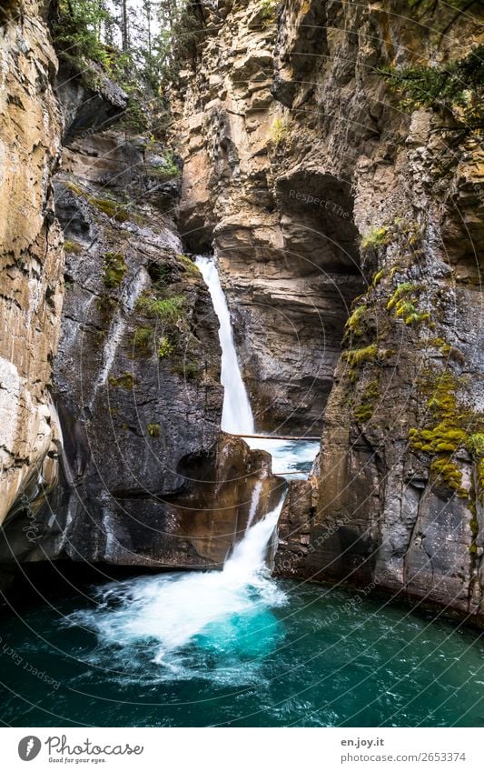 single tail Vacation & Travel Trip Nature Landscape Elements Water Rock Canyon Johnston canyon Waterfall Canada Banff National Park Alberta North America