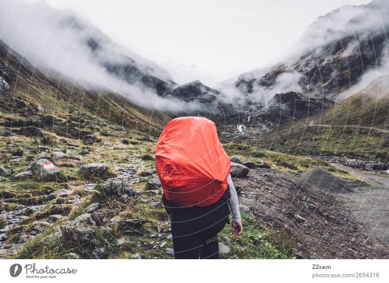 Ascent to the Braunschweiger Hütte | E5 Vacation & Travel Adventure Expedition Hiking Human being Nature Landscape Clouds Autumn Bad weather Fog Alps Mountain