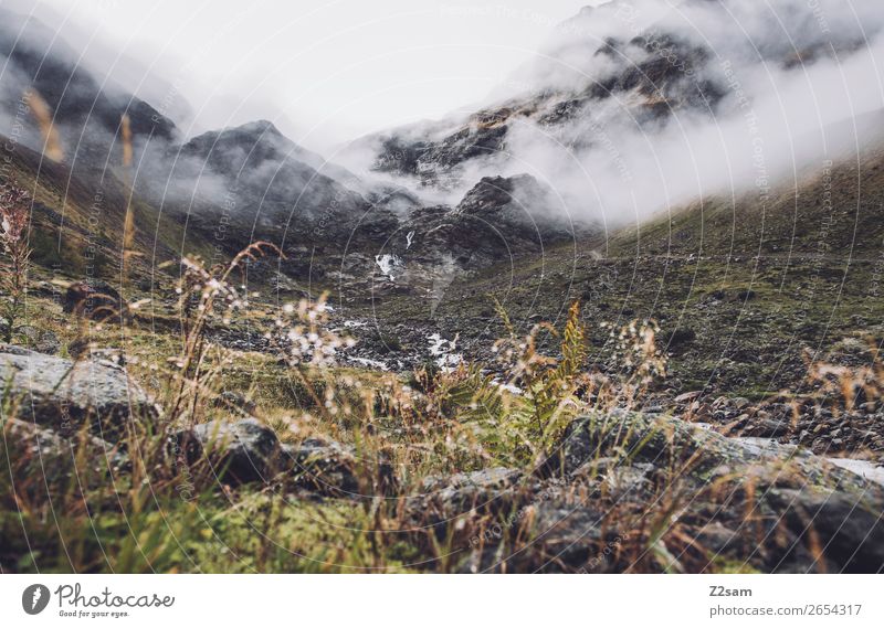 Ascent to the Braunschweiger Hütte | Pitztal | E5 Adventure Hiking Environment Nature Landscape Clouds Autumn Bad weather Fog Alps Mountain Glacier Dark Cold