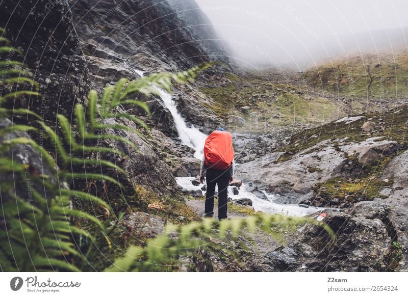 Ascent to the Braunschweiger Hütte | E5 Vacation & Travel Adventure Mountain Hiking Human being Nature Landscape Bad weather Fog Bushes Fern Rock Alps Glacier