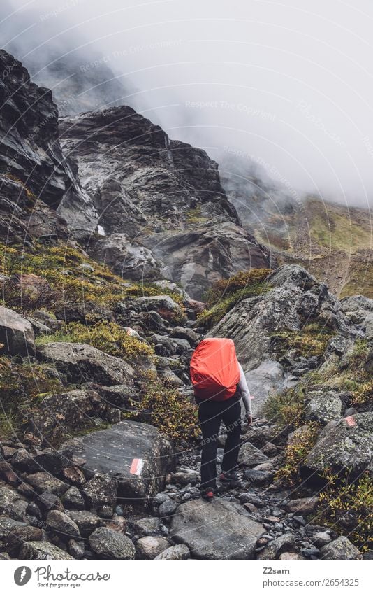 Ascent to the Braunschweiger Hütte | E5 Vacation & Travel Adventure Hiking Human being Nature Landscape Autumn Bad weather Fog Alps Mountain Glacier Brook