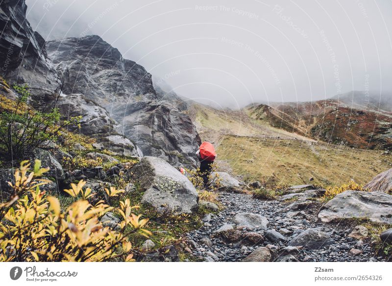 Ascent to the Braunschweiger Hütte | Alpine crossing | E5 Vacation & Travel Adventure Expedition Hiking Human being Nature Landscape Autumn Bad weather Fog Rock