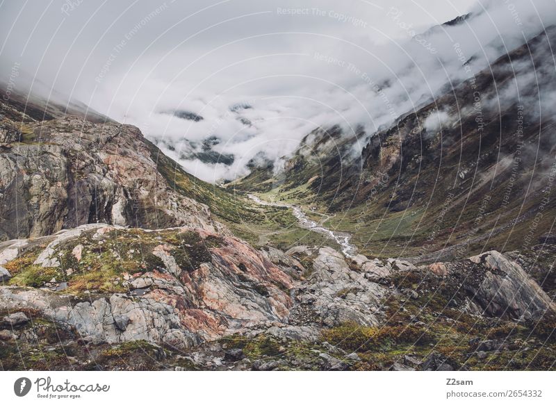 View in direction Mittelberg AT | E5 Adventure Hiking Environment Nature Landscape Clouds Climate Climate change Bad weather Fog Rock Alps Mountain Glacier