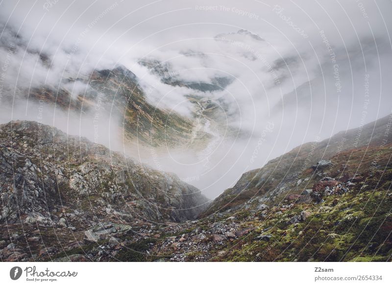 View in direction Mittelberg im Pitztal | E5 Adventure Hiking Nature Landscape Clouds Autumn Bad weather Fog Alps Mountain Glacier Threat Dark Infinity Natural