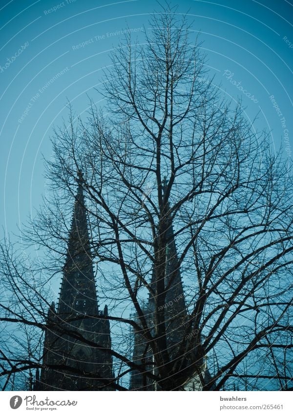 Cologne Cathedral Architecture Sky Cloudless sky Tree Town Downtown Church Dome Tower Manmade structures Tourist Attraction Large Historic Blue Gothic period